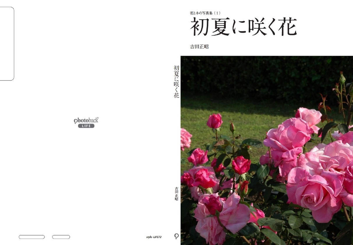 Jamjamの作品 初夏に咲く花 フォトブック フォト 写真 アルバム作成ならphotoback