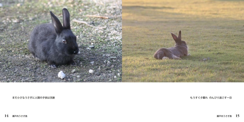 因幡のクロウサギの作品 瀬戸内うさぎ島 フォトブック フォト 写真 アルバム作成ならphotoback