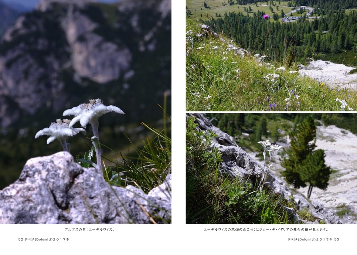 ナガチの作品 ドロミテ Dolomiti ２０１７年 フォトブック フォト 写真 アルバム作成ならphotoback