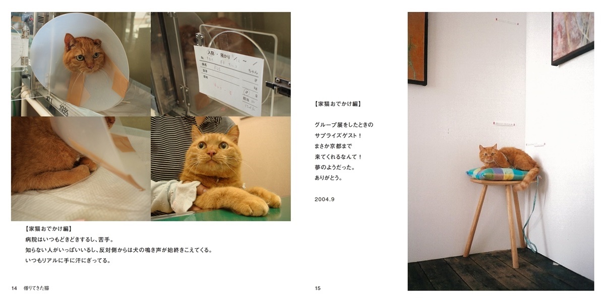 Komakoの作品 借りてきた猫 フォトブック フォト 写真 アルバム作成ならphotoback